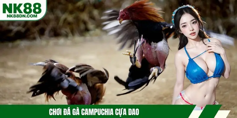 da-ga-campuchia-cua-dao