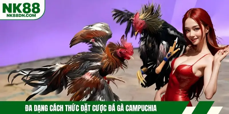 da-ga-campuchia-hinh-thuc-cuoc