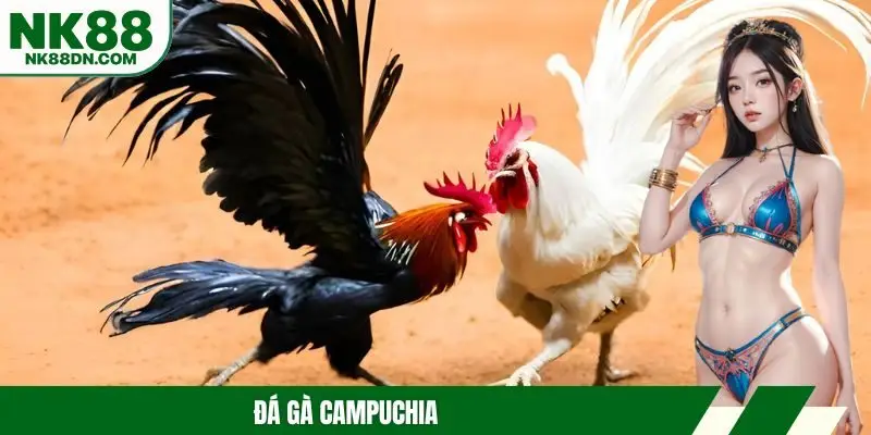 da-ga-campuchia