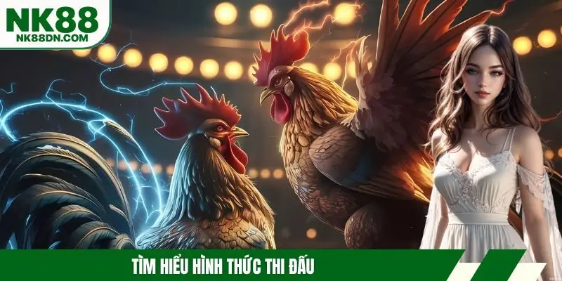 da-ga-don-hinh-thuc-thi-dau