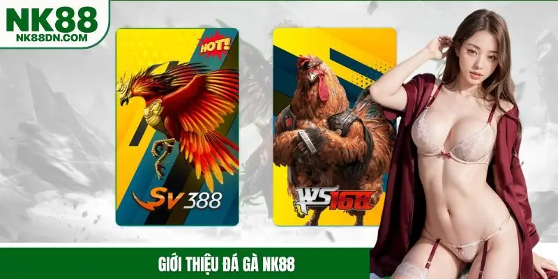 da-ga-nk88-gioi-thieu