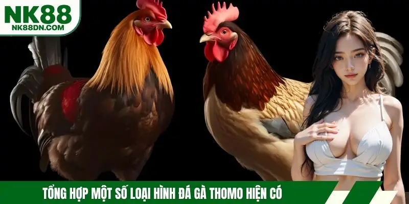 da-ga-thomo-hinh-thuc-thi-dau