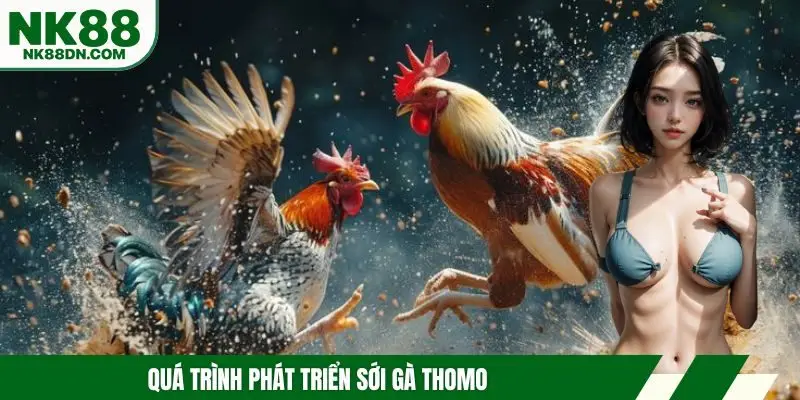 da-ga-thomo-nguon-goc