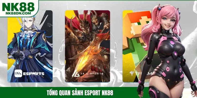 esport-nk88-tim-hieu-so-luoc