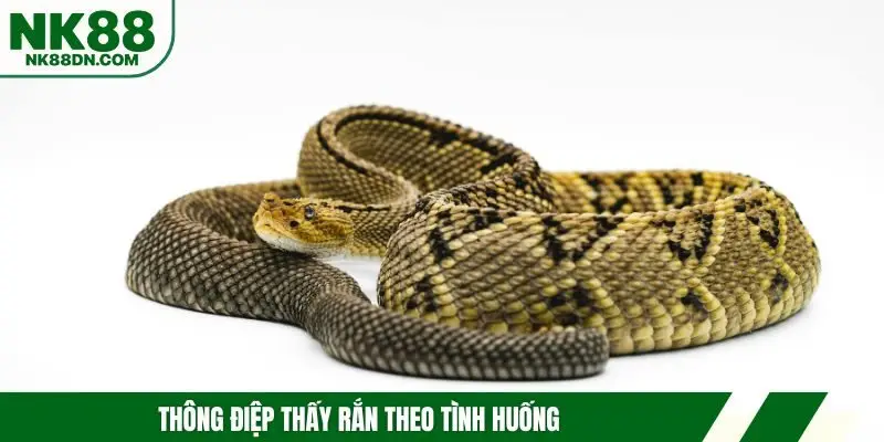 nam-mo-thay-ran-giai-ma-theo-tinh-huong