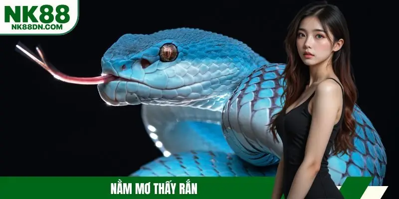 nam-mo-thay-ran