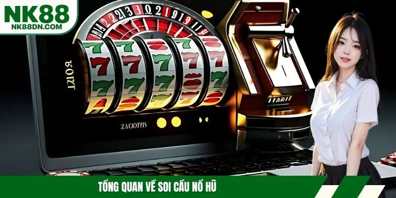 soi-cau-no-hu-tim-hieu